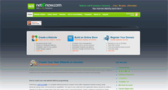 Desktop Screenshot of netidnow.com